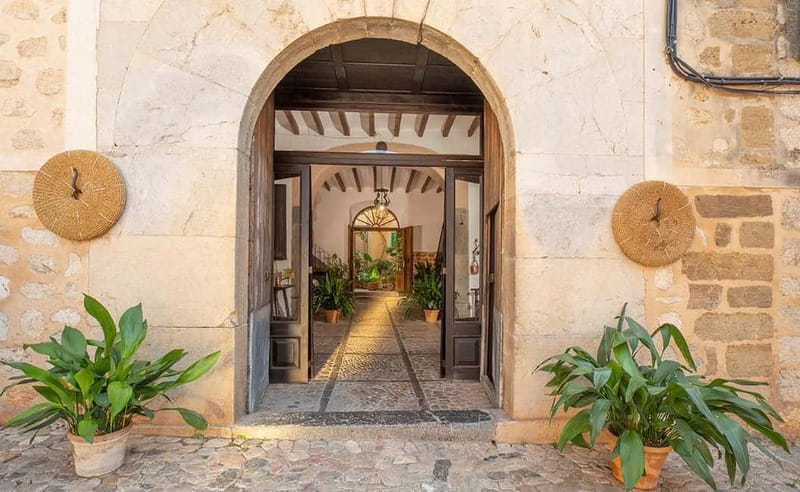 Sóller: Olive Oil Guided Tour and Tasting at Can Det Estate - A short visit with a strong sense of place