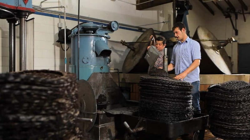 Sóller: Olive Oil Guided Tour and Tasting at Can Det Estate - The guide and family connection