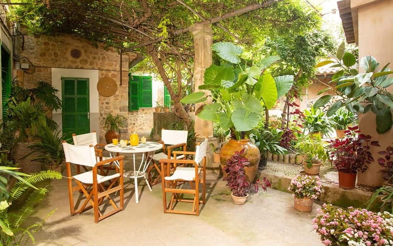 Sóller: Olive Oil Guided Tour and Tasting at Can Det Estate - The 400-year-old house and garden