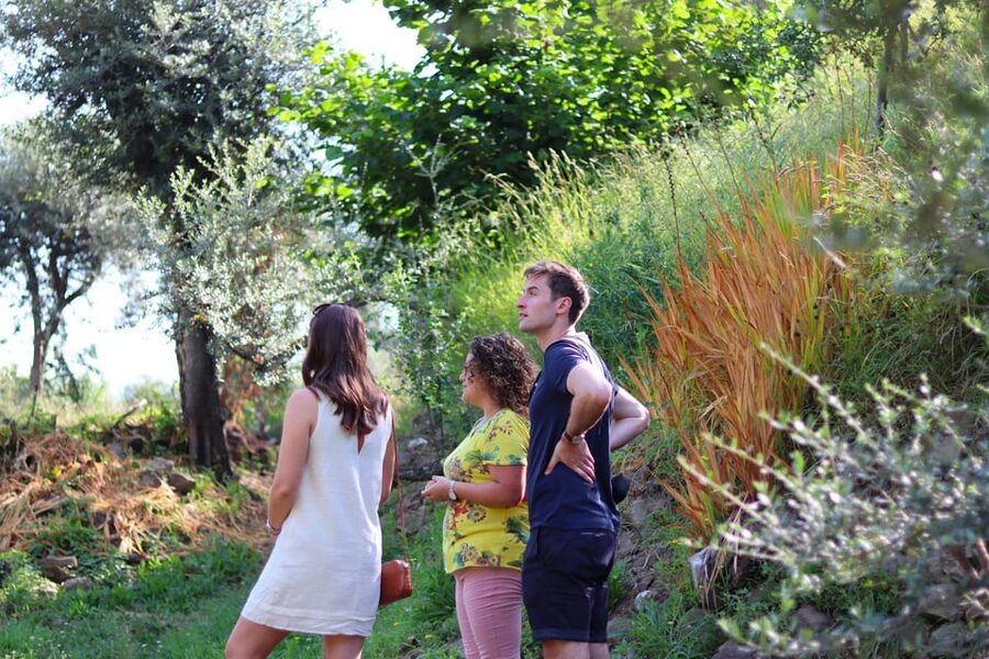 Sorrento: Guided Olive Mill Visit with Tastings - How the short duration affects the experience