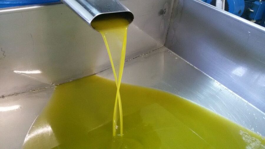 Sorrento: Lemon, Olive Oil and Wine Tasting Tour with Lunch - Walking among ancient olive trees