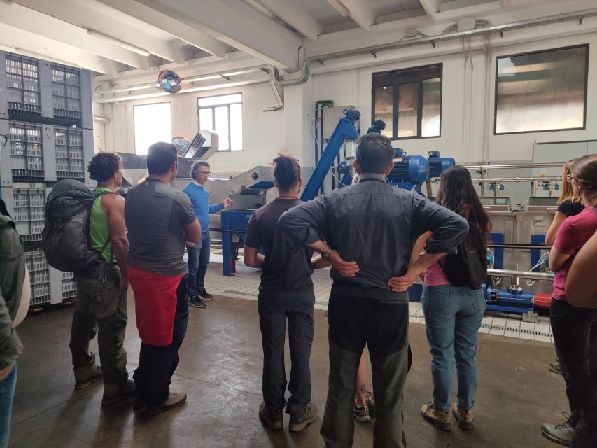Sortino: Olive Oil tasting with Sicilian Products and Wine - Seeing how olives become extra virgin oil