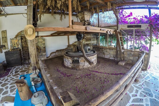 Spiridi Olive Oil Farm Tour - What you see during the one-hour route