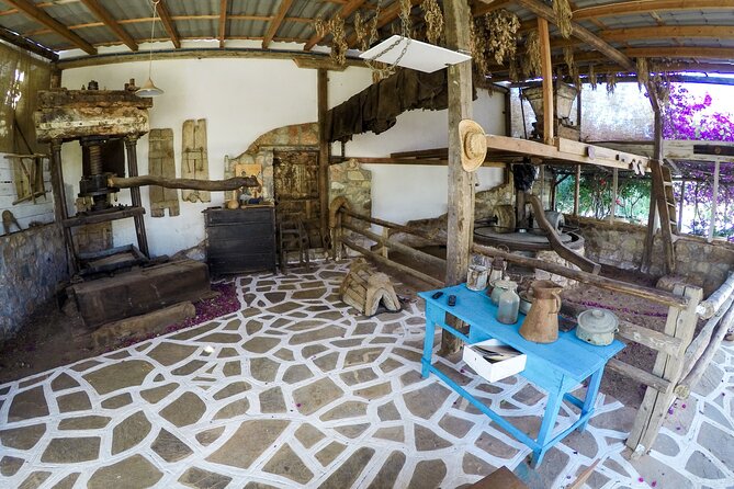 Spiridi Olive Oil Farm Tour - Why the self-guided setup works