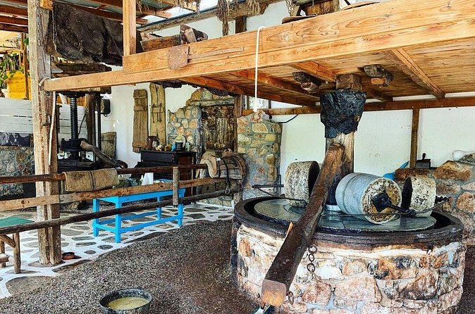 Spiridi Olive Oil Farm Tour - Small drawbacks to keep in mind