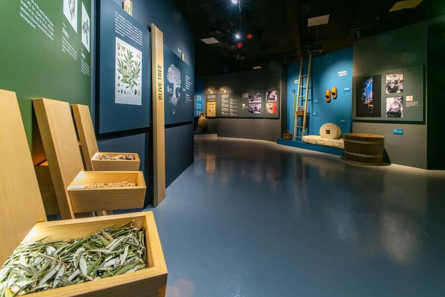 Split: Olive museum Klis with Olive Oil Tasting - Learning to taste extra virgin olive oil
