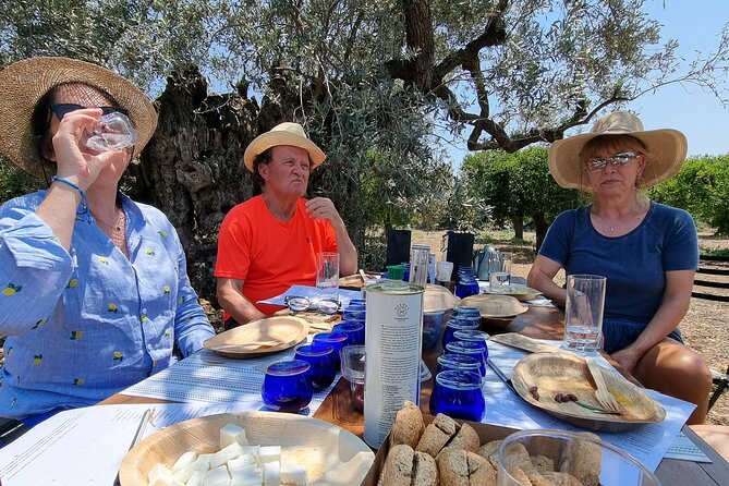 SYSTASIS Olive Oil Tasting Experience in Ermioni Greece - Key points at a glance