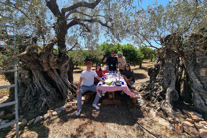 SYSTASIS Olive Oil Tasting Experience in Ermioni Greece - Walking into Ermioni’s citrus and olive grove