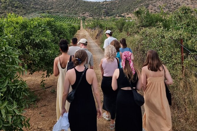 SYSTASIS Olive Oil Tasting Experience in Ermioni Greece - Learning to taste, not just sample