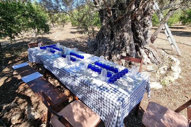 SYSTASIS Olive Oil Tasting Experience in Ermioni Greece - Why the ocean view adds value