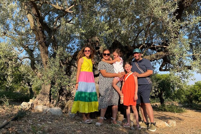 SYSTASIS Olive Oil Tasting Experience in Ermioni Greece - Is the $104.84 price good value?