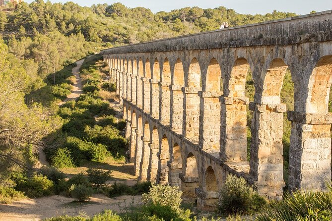 Tarragona Culinary Experience: Olive Oil & Iberian Ham Delight - Who should book this private day trip?