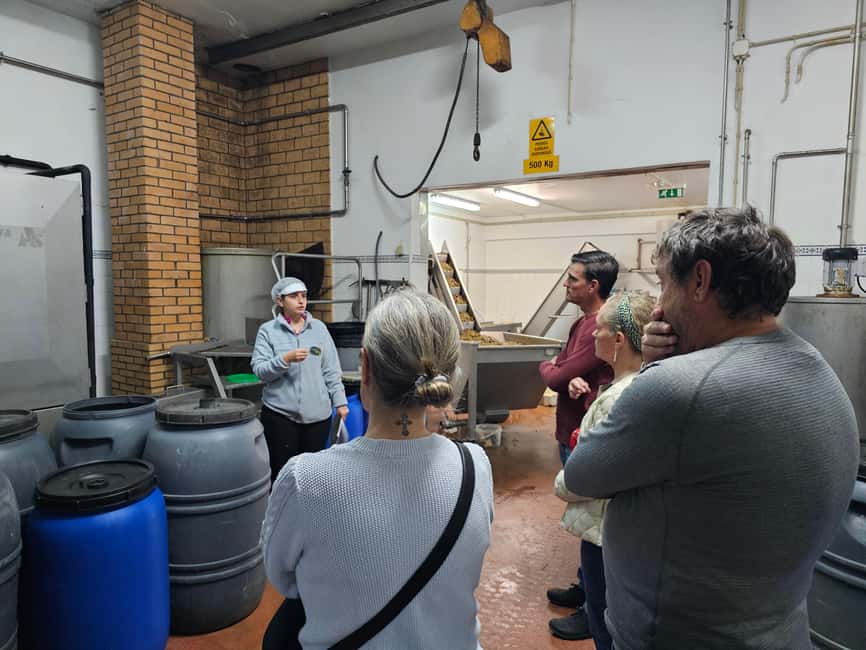 Tavira City & Olive Factory - Should you book Tavira City and Olive Factory?