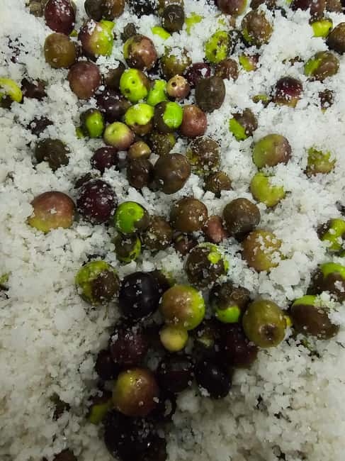 Tavira City & Olive Factory - The tasting: olives, oil, cheese, marmalade, and wine