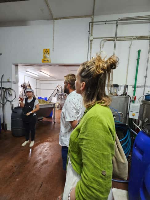 Tavira City & Olive Factory - How much value do you get for $91?