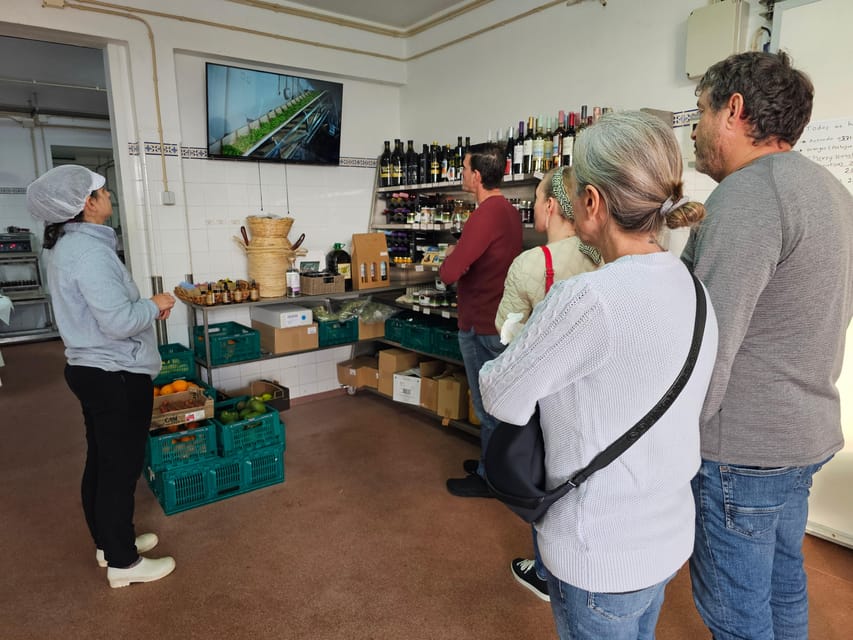Tavira City & Olive Factory - What the guide adds