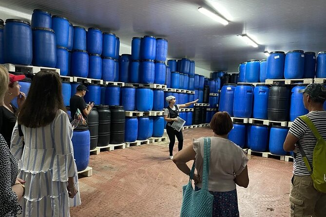 Tavira Olive Experience Factory Tour and Tasting - A small Tavira factory with a very local feel
