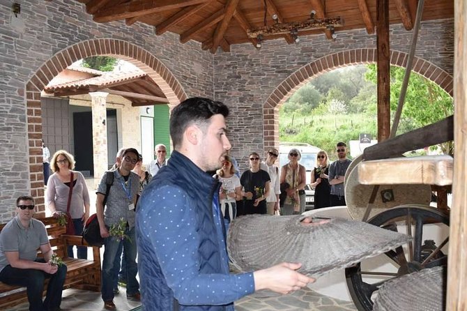 The Governor's Olive Mill Tour with Olive Oil Tasting - The people who shape the experience