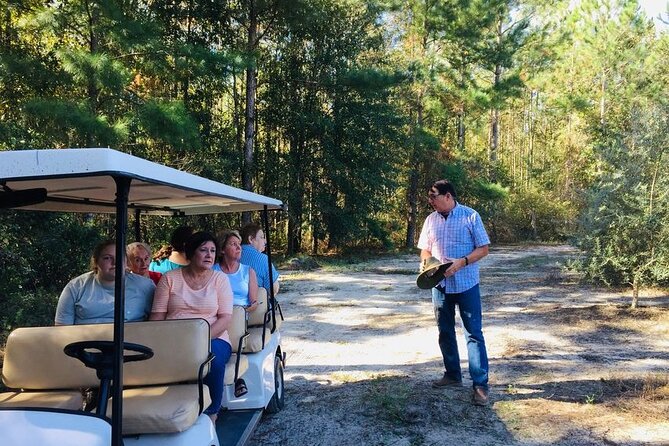 The Olive Grove Tour - Five things to know before you go