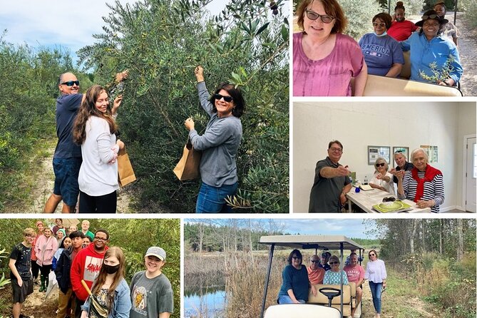The Olive Grove Tour - Who will enjoy this tour most
