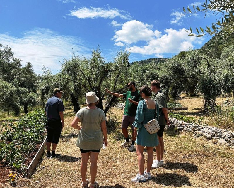 The Olive Oil Experience @ Lefkada Micro Farm - Should you book the Lefkada olive oil experience?