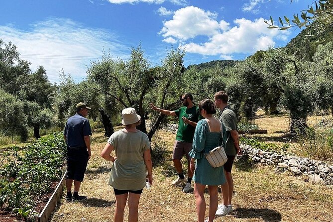 The Olive Oil Experience @ Lefkada Micro Farm - The Olive Oil ABC you can use at home