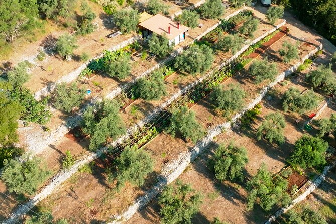 The Olive Oil Experience @ Lefkada Micro Farm - Is two hours enough?