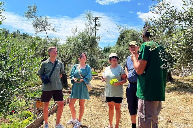 The Olive Oil Experience @ Lefkada Micro Farm - Why the tasting matters
