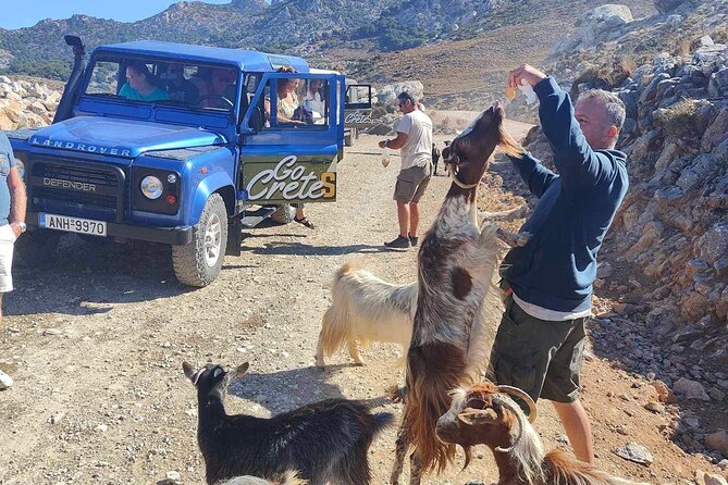 The Roads Of Wine Olive Oil And Cretan Tradition in Malia - From Agios Nikolaos into rural Crete