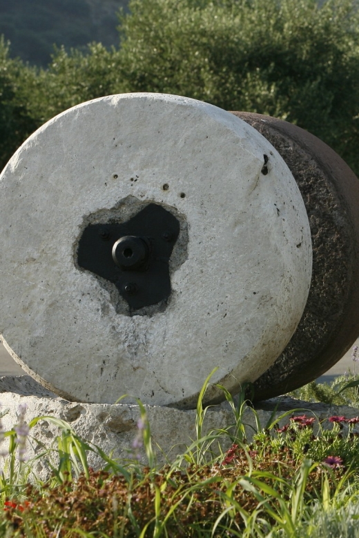 The Terra Creta Olive Oil Experience Tour - Practical details that matter