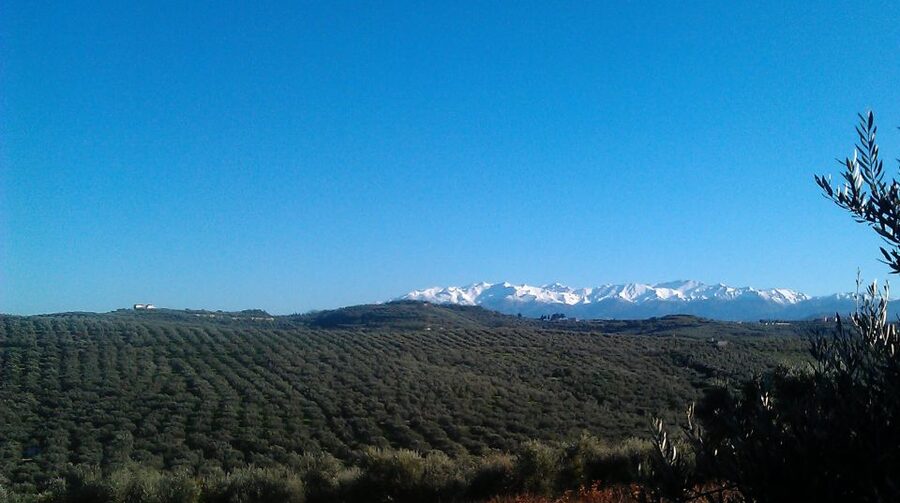 The Terra Creta Olive Oil Experience Tour - Getting to Kamisiana from Chania or Kissamos