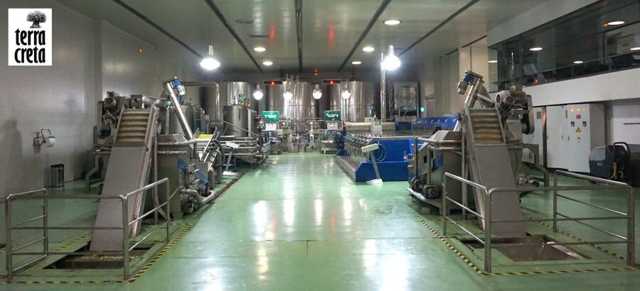 The Terra Creta Olive Oil Experience Tour - What the guides bring to the experience