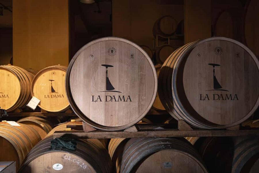 THE TRADITIONS OF VALPOLICELLA: WINE, EXTRA VIRGIN OLIVE OIL, AND HONEY TASTING - Starting Among the Valpolicella Vines