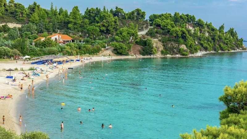 Thessaloniki: Halkidiki/Sithonia Swim, Sunset & Olive Tour - Key points to know