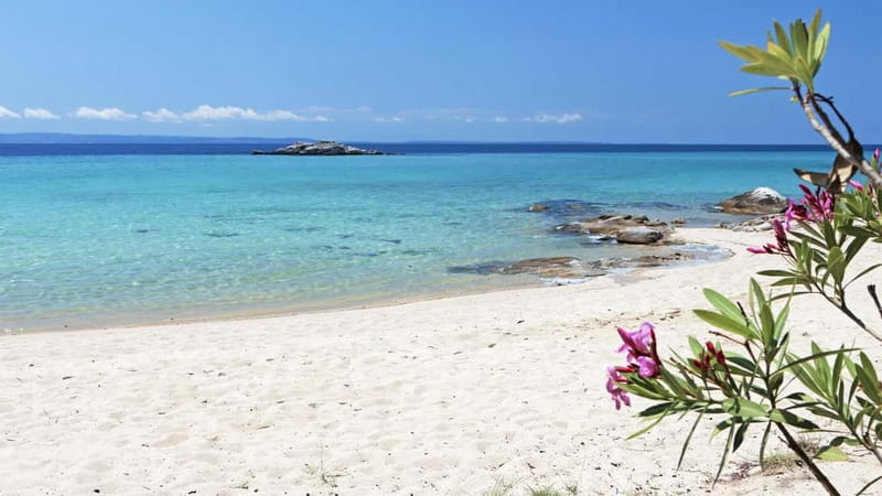 Thessaloniki: Halkidiki/Sithonia Swim, Sunset & Olive Tour - The Aegean sunset finale