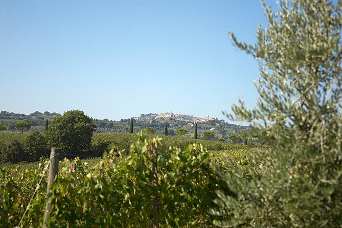 Think of a romantic meal in the Olive Trees shade, accompanied by Tuscan wines! - A Tuscan meal where the olive trees are part of the table