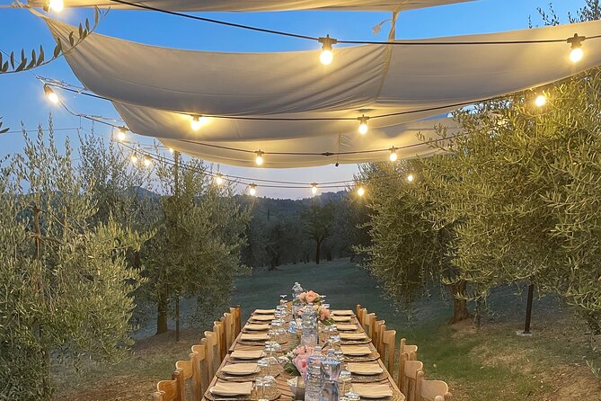 Think of a romantic meal in the Olive Trees shade, accompanied by Tuscan wines! - Walking through the estate before you eat