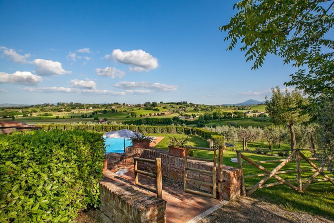 Think of a romantic meal in the Olive Trees shade, accompanied by Tuscan wines! - What the three-hour visit feels like