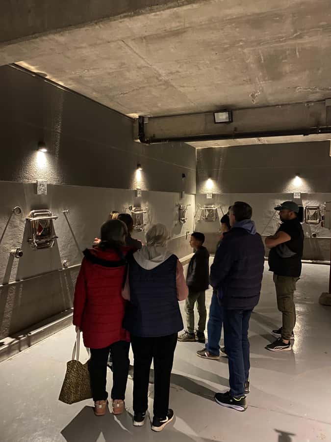 Tour of 3 wineries in Maipú with lunch + olive groves - The final winery and Mendoza alfajores