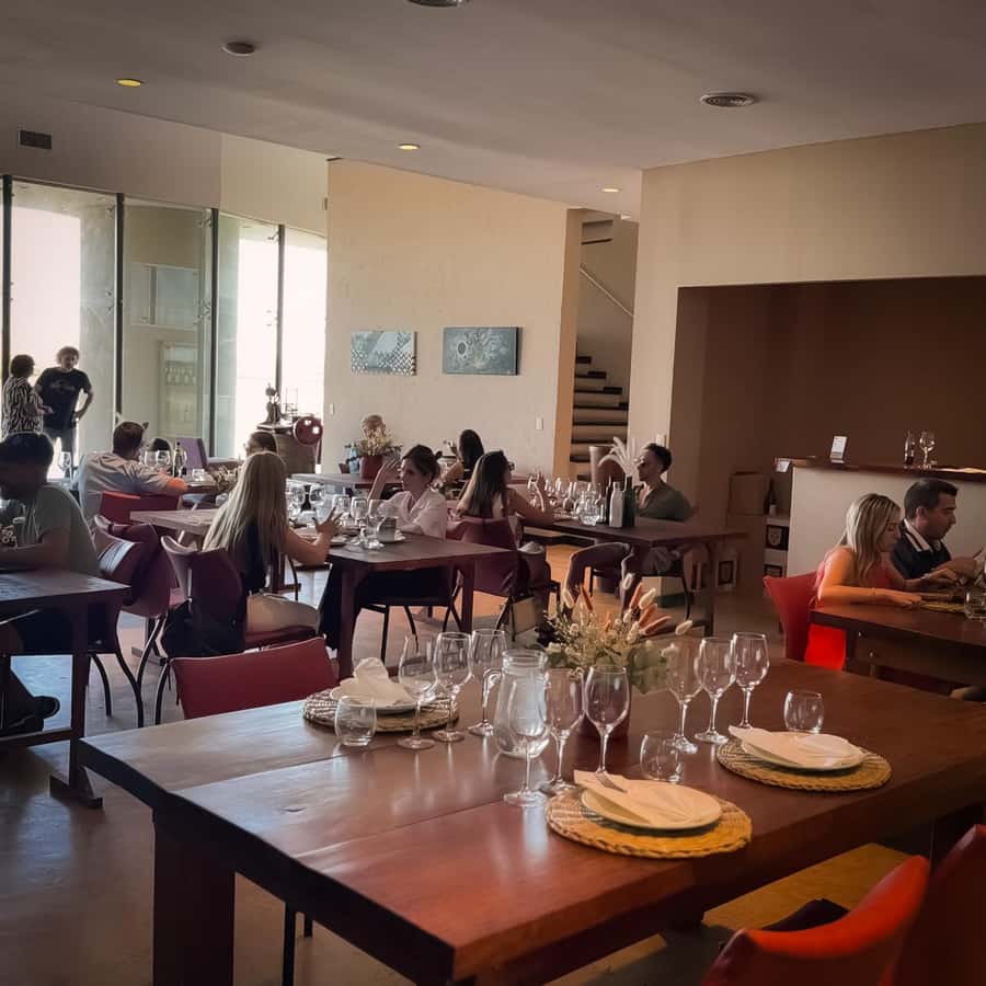 Tour of 3 wineries in Maipú with lunch + olive groves - Lunch at Esencia 1870 with wine pairings