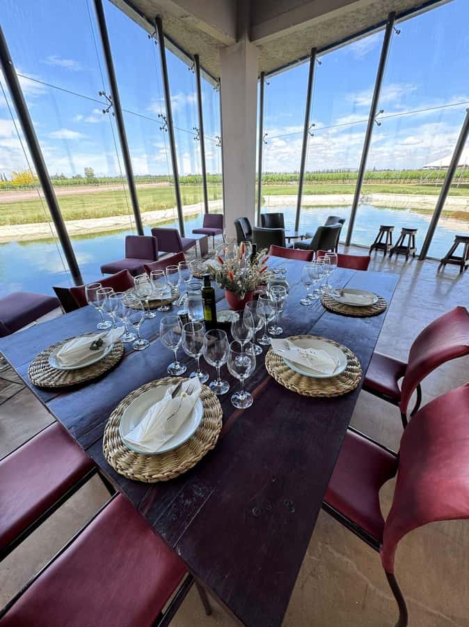 Tour of 3 wineries in Maipú with lunch + olive groves - Practical advice for a smoother day