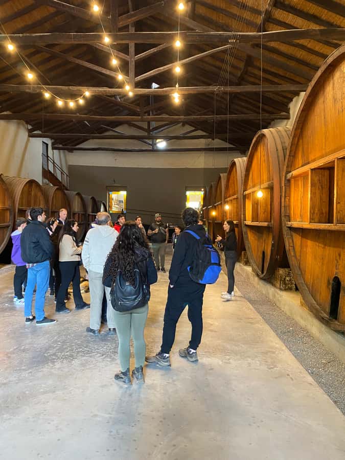 Tour of 3 wineries in Maipú with lunch + olive groves - Should you book it?
