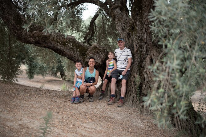 Tour of Olive Grove and Oil Mills with Oil Tasting - The tasting: royal, picual, and your own senses