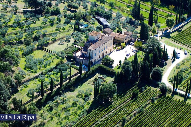 Tour through the vineyards and wine and olive oil tasting in Tuscany - Arriving at Villa La Ripa outside Arezzo