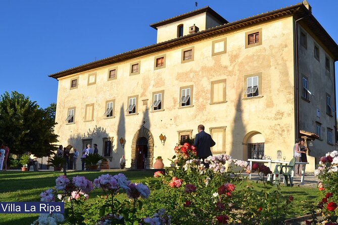 Tour through the vineyards and wine and olive oil tasting in Tuscany - Four wines and a proper Tuscan spread