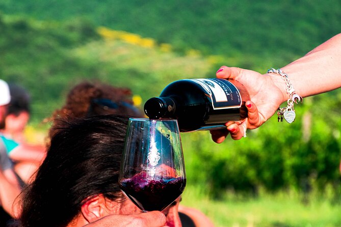 Tour through the vineyards and wine and olive oil tasting in Tuscany - Walking the vines when the weather cooperates