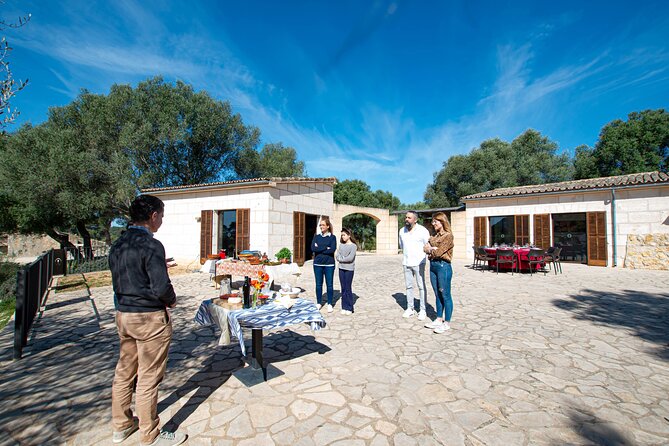 Tour to olive grove and olive mill, oil tasting and snack - Booking and cancellation details
