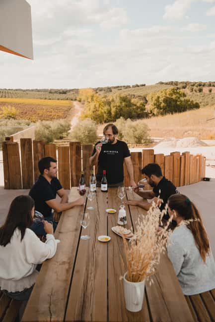 Tour with Wine and Olive Oil Tasting - Key points