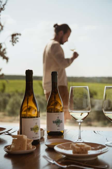 Tour with Wine and Olive Oil Tasting - An Alentejo farm visit with more than one story