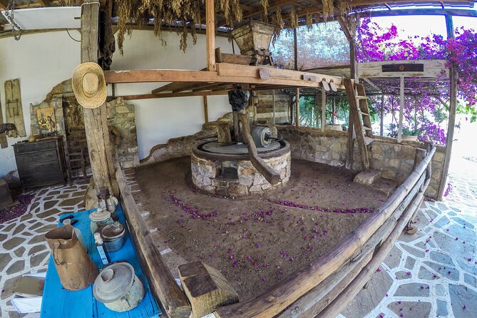 Traditional Olive Oil Making at Spiridi Olive Oil Farm - Crete - Why the hands-on format matters